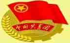 团组织部的工作总结最新5篇
