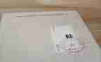 蛙的读后感2000字6篇