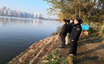 湾长制工作总结5篇