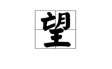 看望奶奶的作文参考7篇