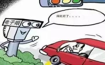 违反的心得体会6篇