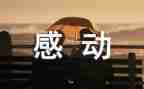 感动中国2024张桂梅事迹参考7篇