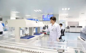 学校卫生计划的工作计划优质6篇