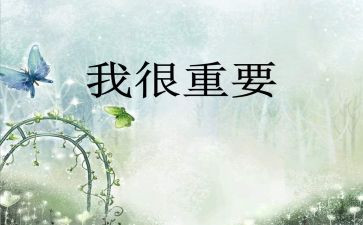 我很重要教案5篇