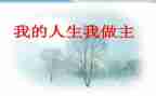 我的作文我做主的作文模板6篇