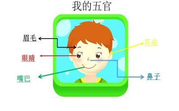 五官想象作文7篇