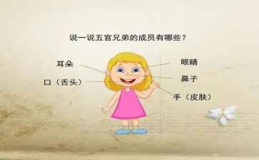关于五官的作文6篇