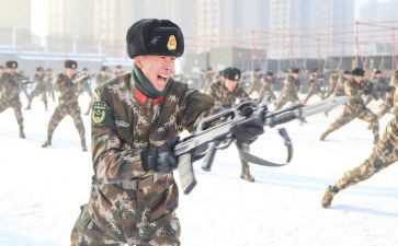 武警部队工作总结7篇