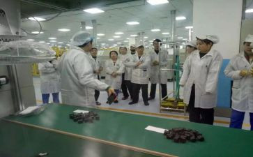 物料组的工作总结5篇