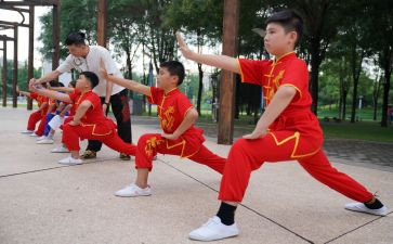 武术队年度总结5篇