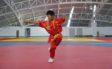 武术队工作总结6篇