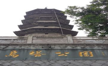 乌塔的读后感精选8篇