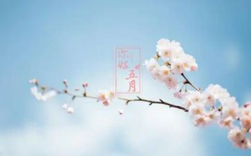 五月份工作计划7篇