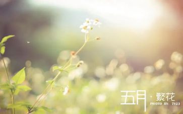 小班五月工作总结6篇