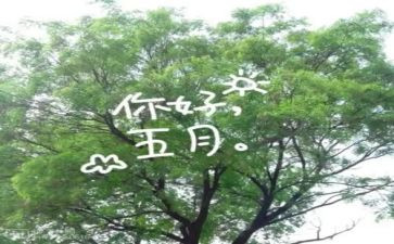 五月份工作计划参考8篇