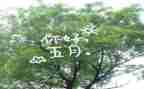 五月份工作计划参考8篇