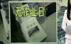无作业日心得体会优秀6篇