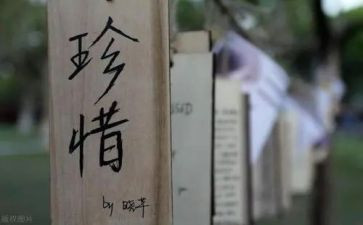 关于感恩珍惜的演讲稿7篇