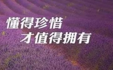我懂珍惜作文5篇