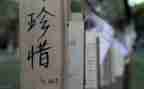 关于感恩珍惜的演讲稿7篇