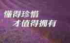 我懂珍惜作文5篇