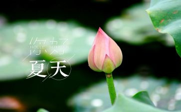 夏天的作文600字作文优质5篇