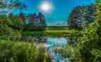 写夏天的作文100字精选6篇