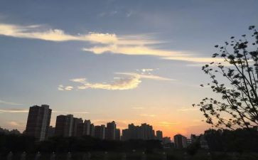 一年级下班主任学期工作总结参考8篇