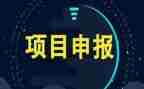 项目总年终工作总结范文5篇
