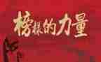 医生先进个人总结6篇