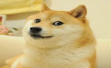 我笑了作文500字7篇