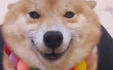 留微笑给自己作文600字5篇