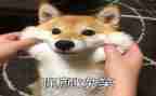 微笑的作文精选6篇