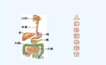 消化科2024年工作计划7篇