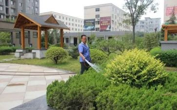 小区物业工作汇报范文6篇