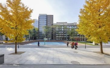 写校园的作文600字模板7篇