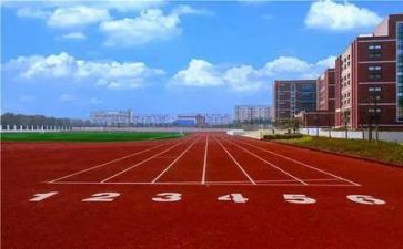 我们的校园500字作文5篇