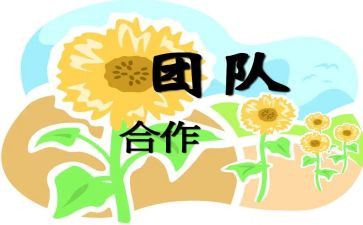 协作的心得6篇