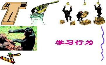 教师违反职业行为处理办法心得体会推荐6篇