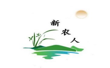 新农村建设工作总结精选6篇
