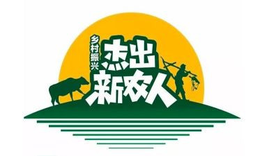 新农村建设工作总结8篇