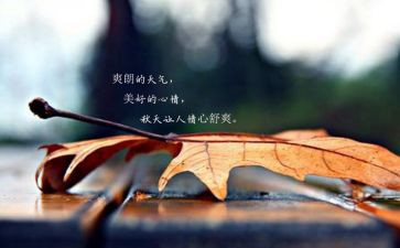 “我”的心情作文参考7篇