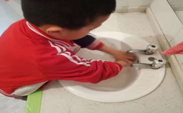 幼儿园洗手主题活动方案5篇