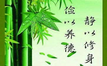 修身心得8篇