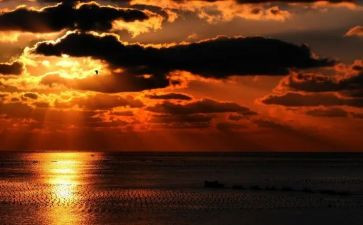写夕阳作文模板7篇