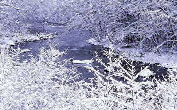《雪国》读后感6篇