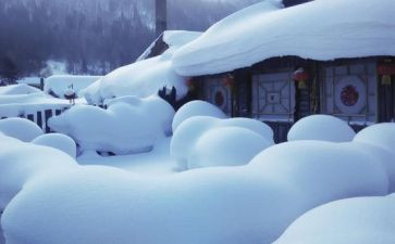 滑雪滑雪作文模板7篇