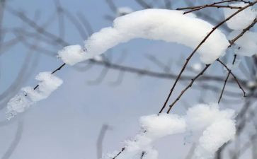 以雪为主题的演讲稿最新6篇