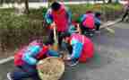 学雷锋净校园活动总结5篇