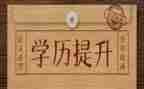 学历史的工作总结最新8篇